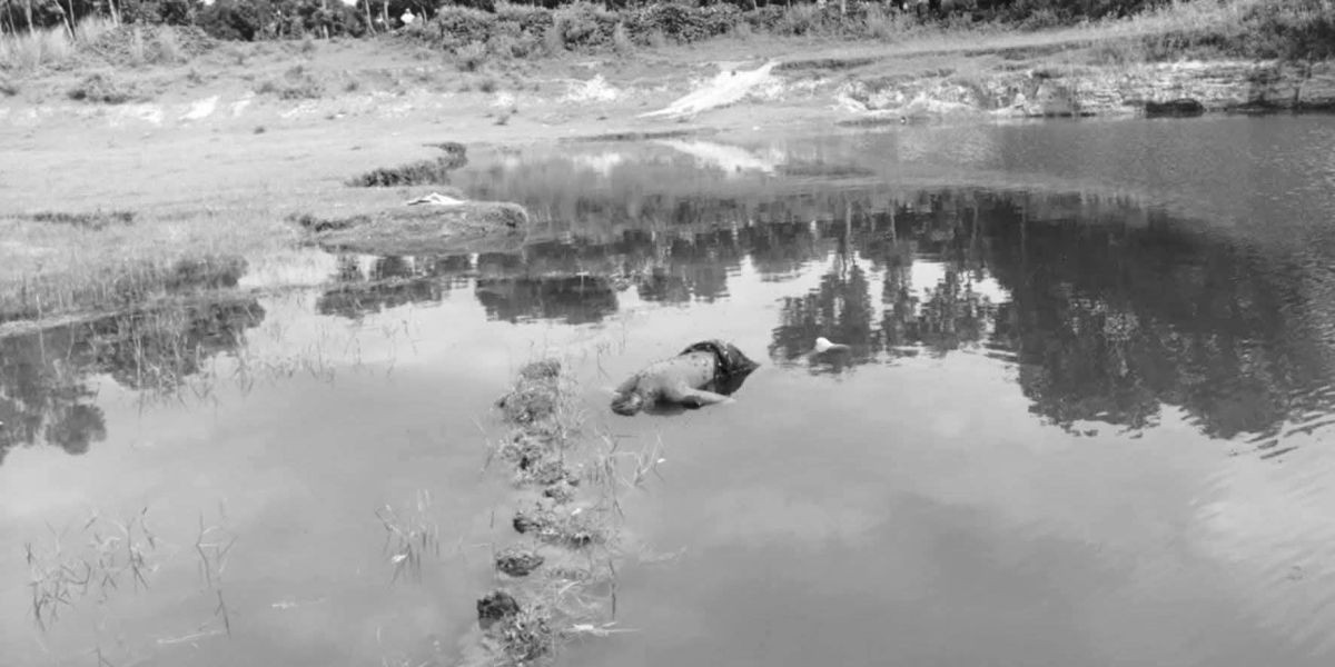 রানীশংকৈল অজ্ঞাত এক ব্যক্তির পুকুর থেকে লাশ উদ্ধার