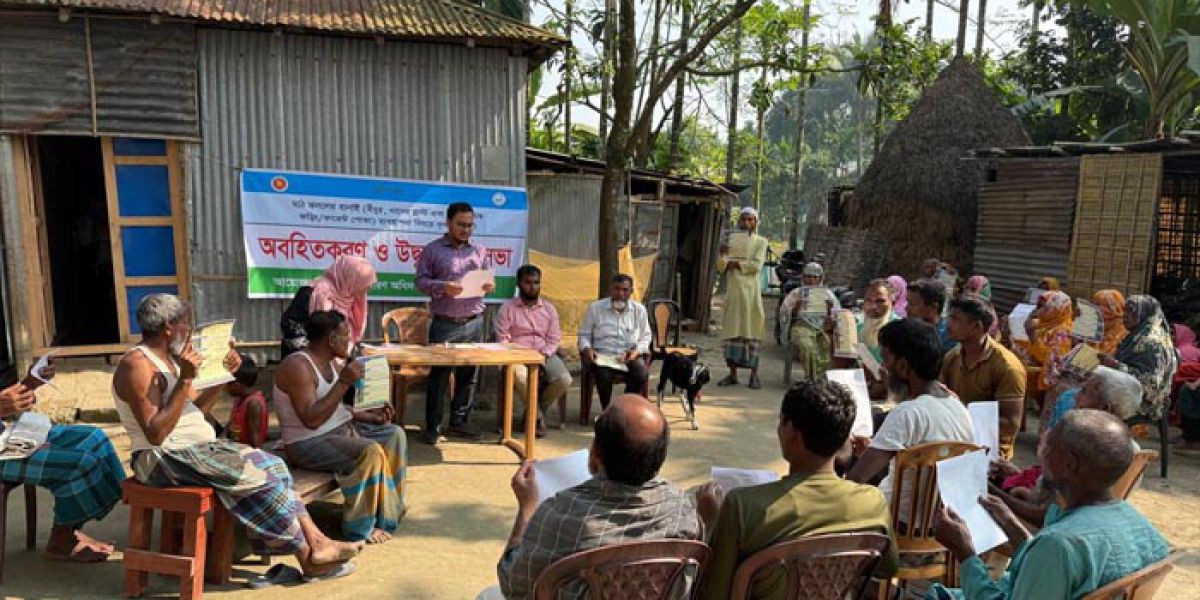 গঙ্গাচড়ায় আমন ধানে কারেন্ট পোকা দমনে কৃষি বিভাগের ব্যতিক্রমী উদ্যোগ..