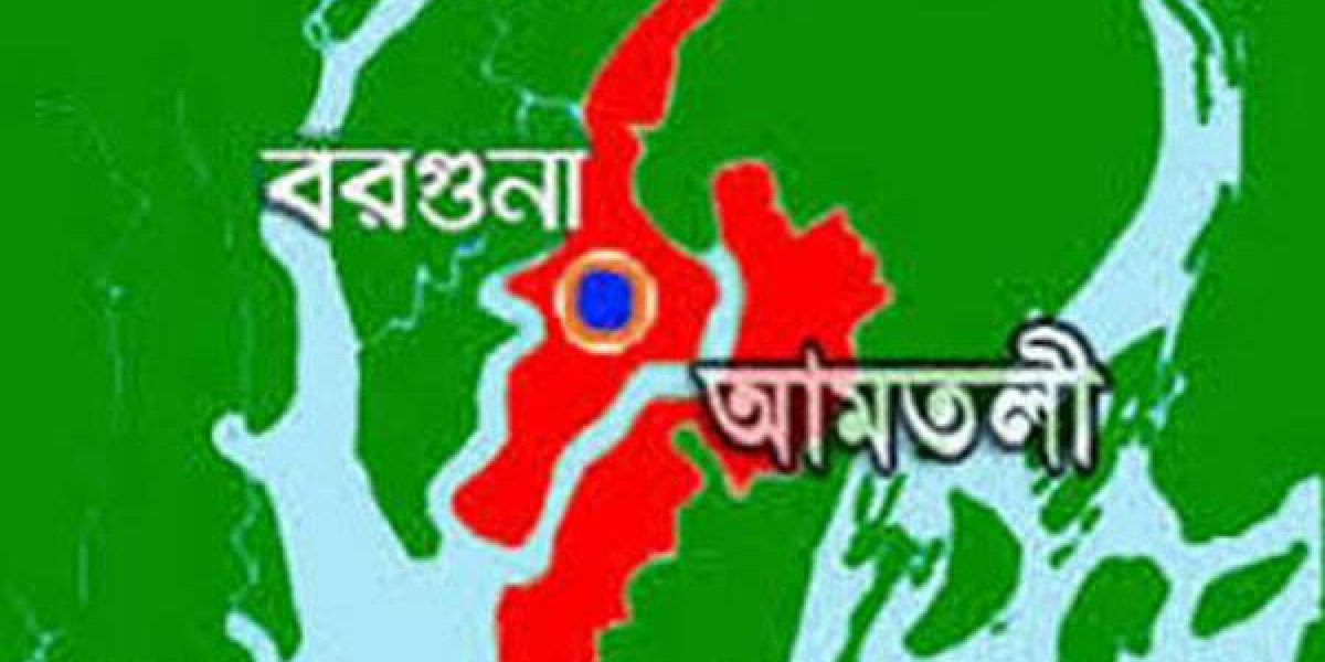 আমতলীতে পরকিয়ার জেরে স্ত্রীর মৃত্যু,  আত্মহত্যা হিসেবে চালানোর অভিযোগ নিহতের মা..