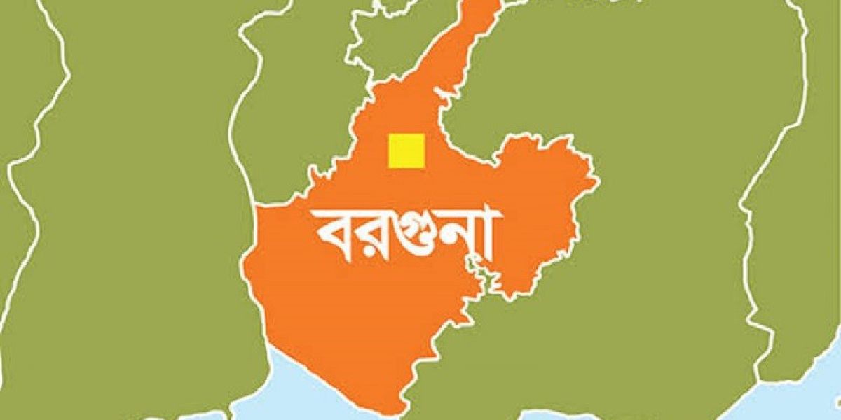 বরগুনায় মোটর চালাতে গিয়ে বিদ্যুৎস্পৃষ্টে যুবকের মৃত্যু