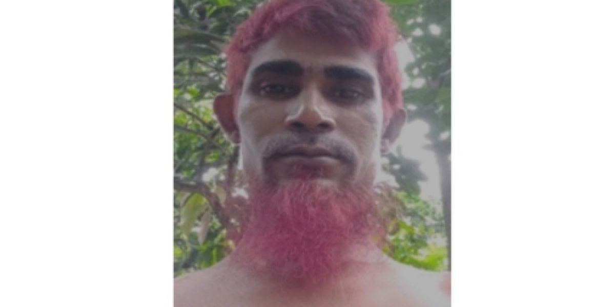 বোচাগঞ্জে একাধিক মামলার আসামি লাইসুর রহমান গ্রেফতার
