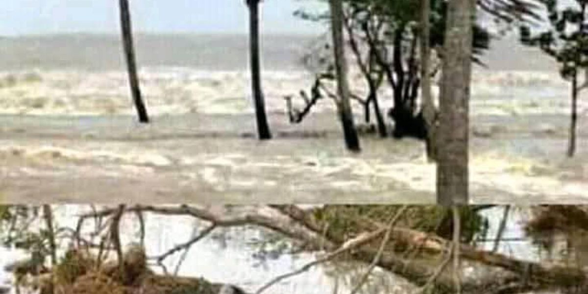 ভয়াল ২৯ এপ্রিল ৯১ স্মরণে উপকূল বাঁচলে বাংলাদেশ বাঁচবে” শীর্ষক জাতীয় সেমিনারের  আয়োজন করেছে উপকূলীয় উন্নয়ন ফাউন্ডেশন     ‎..