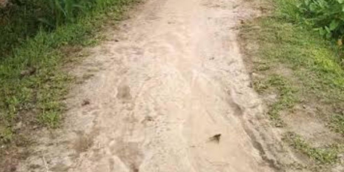 হাতিবান্ধা য়  নিজ  মৌলভী পাড়ায় সরকারি রেকর্ডিও রাস্তা দিয়ে হাটার সময় সাংবাদিক কে হামলা র চেষ্টা করেন একটি মহল...