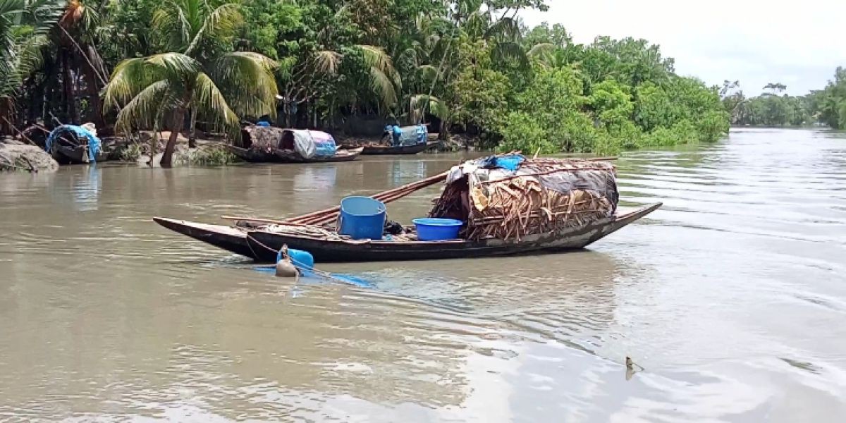 সুন্দরবনে তিন মাসের নিষেধাজ্ঞা: প্রজনন সুরক্ষায় কড়াকড়ি, সংকটে কর্মহীন বনজীবীরা..