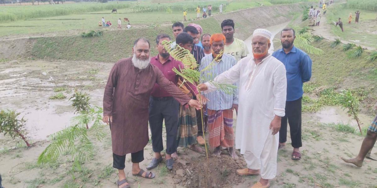 পরিবেশ রক্ষায় পীরগঞ্জে খাল খননের পর দুই ধারে ৭ হাজার গাছ রোপণ..