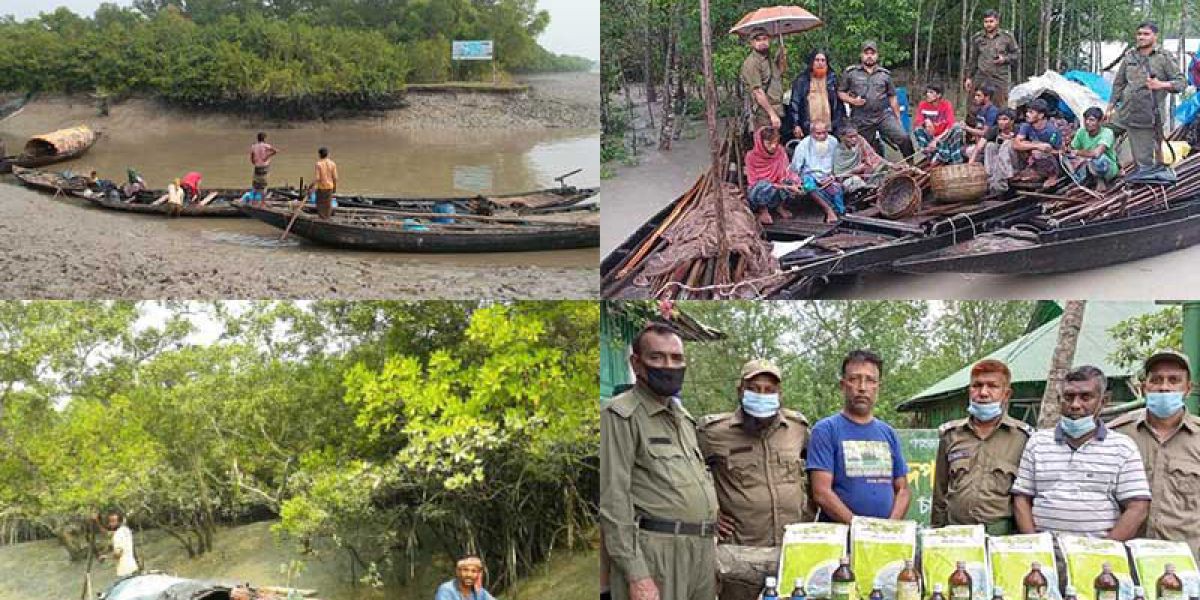 পশ্চিম সুন্দরবনে বন অপরাধের লাগাম টানতে হিমশিম বন বিভাগ: দুই মাসে ৮৯ মামলা..