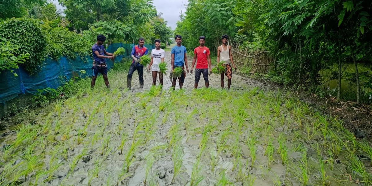 সাতক্ষীরায় দীর্ঘদিনের অবহেলিত রাস্তা সংস্কারের দাবিতে ধান রোপণ করে প্রতিবাদ..