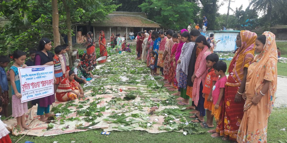 কুড়িয়ে পাওয়া শাকের মেলায় অচাষকৃত উদ্ভিদ বৈচিত্র্য সংরক্ষণের উদ্যোগ..