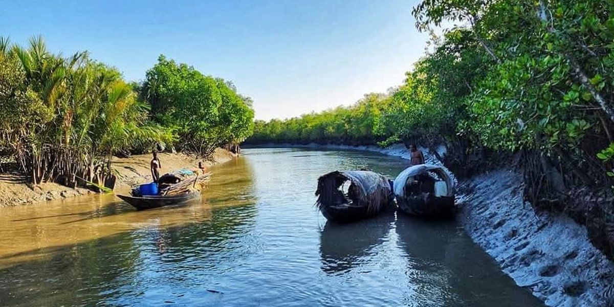 তিন মাসের নিষেধাজ্ঞা শেষে প্রাণচাঞ্চল্যে ভরপুর সুন্দরবন: ১ সেপ্টেম্বর থেকে পর্যটকদের জন্য উন্মুক্ত..