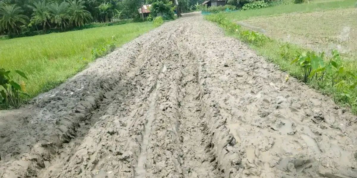 আমতলীর পূর্বচিলা গ্রামের সড়ক কাদায় বেহাল, চরম দুর্ভোগে এলাকাবাসী..