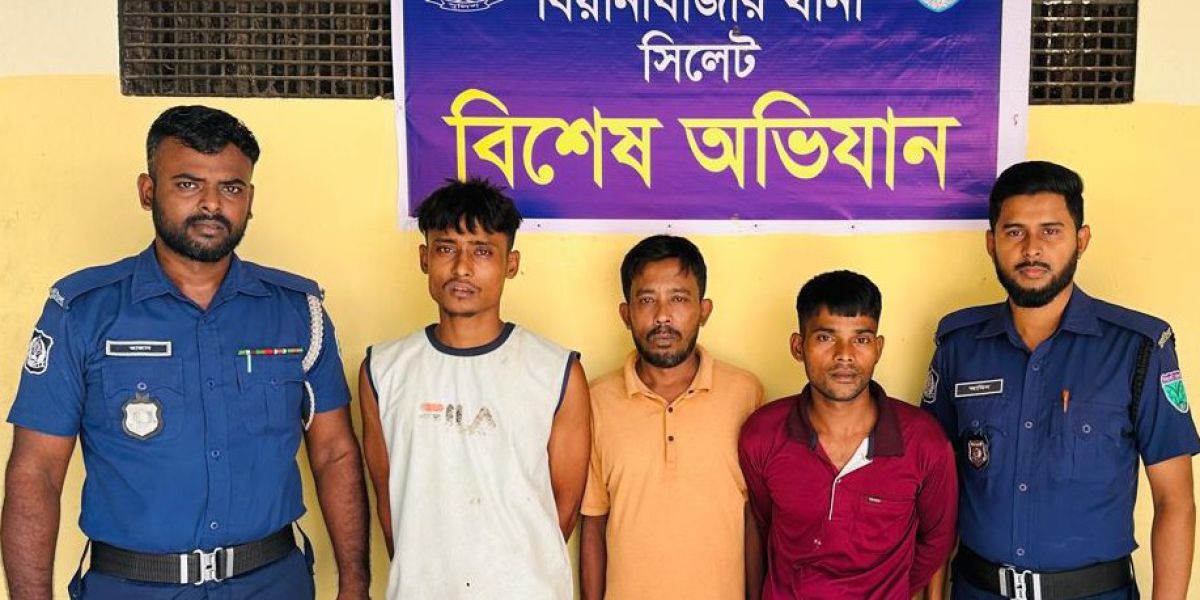 সুন্দরবনের শ্বাসরুদ্ধকর বাস্তবতা: ম্যানগ্রোভের তলদেশে লুকিয়ে থাকা এক নীরব শিকার