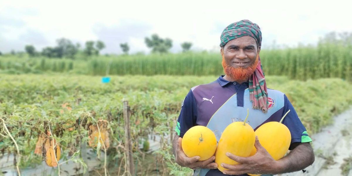 তালায় অমৌসুমী তরমুজ চাষে ২৮ কৃষকের সাফল্য