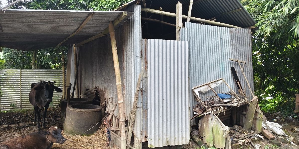 সামষ্টিক অর্থনীতি ও ইনফ্লেশন: ব্যর্থতার কারণ অনুসন্ধান ও সাফল্যের রোডম্যাপ