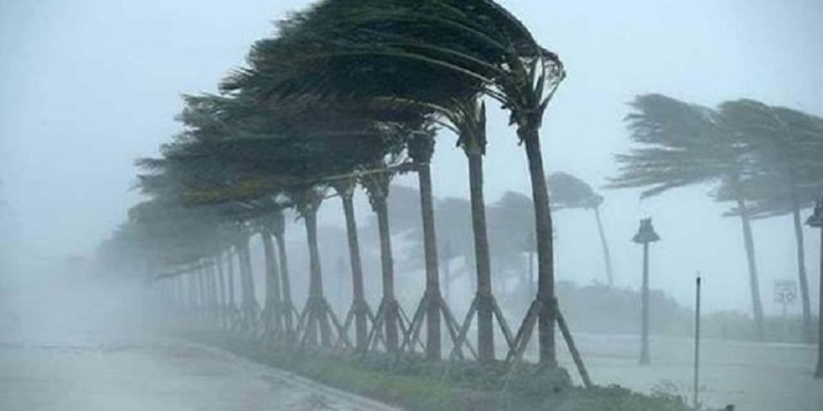 দেশের ৭ জেলায় দুপুরের মধ্যে ঝড়-বজ্রবৃষ্টির আশঙ্কা, নদীবন্দরে ১ নম্বর সতর্কসংকেত..