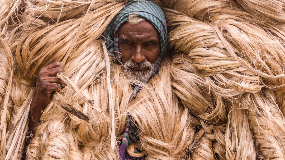 আন্তর্জাতিক মানদণ্ড ও ক্ষেত্রভিত্তিক তুলনা