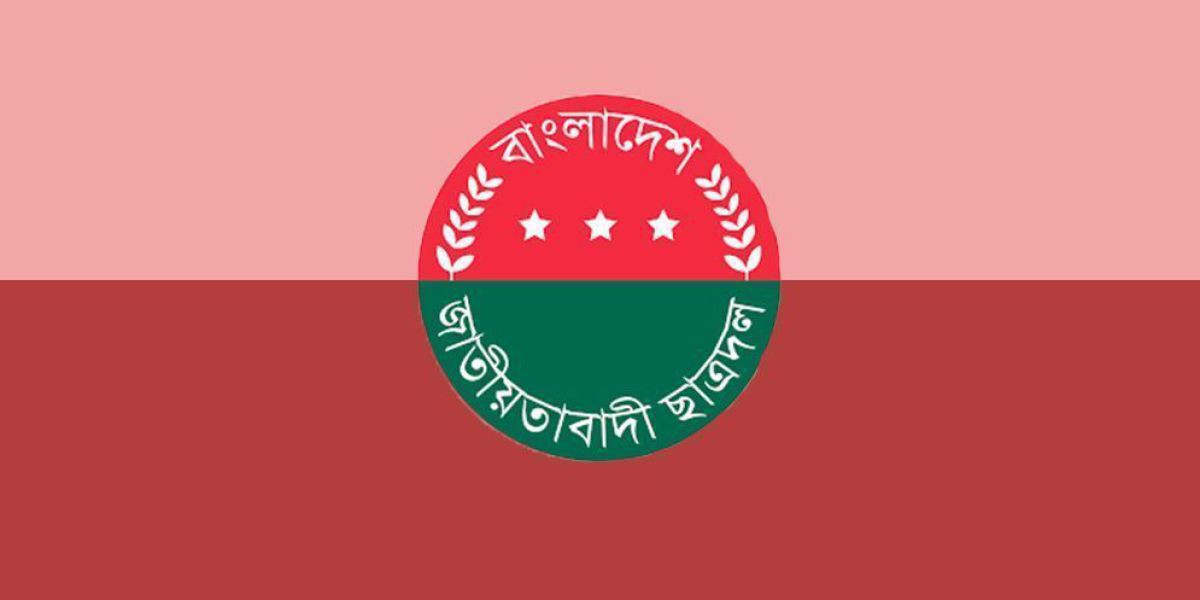 এলএনজি নির্ভরতা ও বিদ্যুৎ গ্রিডের দুর্বলতা: সংকট গভীর হচ্ছে কোন পথে?