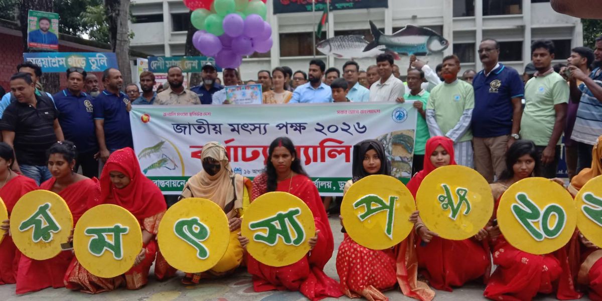 জাতীয় গ্রিড ও জ্বালানি সংকট: এলএনজি নির্ভরতার ফাঁদে বিদ্যুৎ খাতের ভবিষ্যৎ