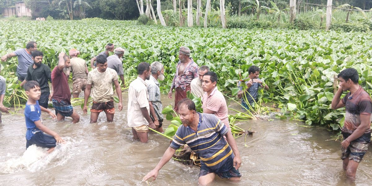 পানি নিস্কাশনের পথ খোলায় পাঁচবিবির দুই ইউনিয়নের হাজারো কৃষকের মুখে হাসি..