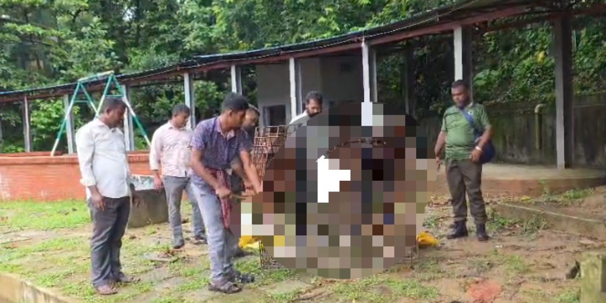 গ্যারেজ থেকে বন্য বানর উদ্ধার: বন বিভাগের তৎপরতায় প্রকৃতিতে প্রত্যাবর্তন..
