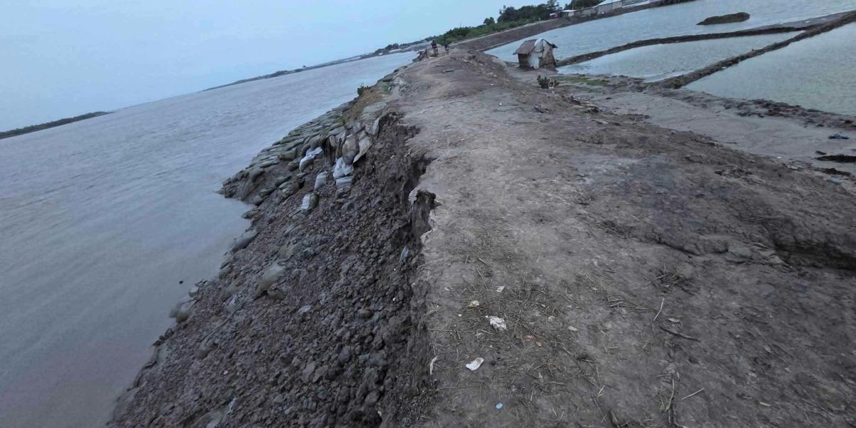 শ্যামনগরের চাউলখোলায় টেকসই বেড়িবাঁধ ও স্থায়ী রাস্তার দাবি..
