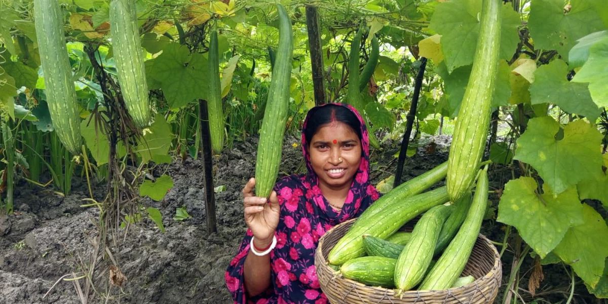 প্রাণবৈচিত্র্য সমৃদ্ধ কৃষি বাড়ি  চন্দনা রানীর