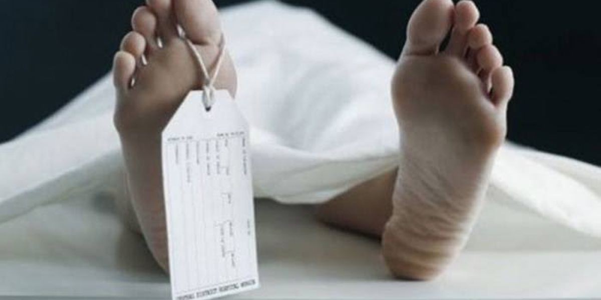 সিরাজগঞ্জে ট্রাকের ধাক্কায় সিএনজি চালক নিহত