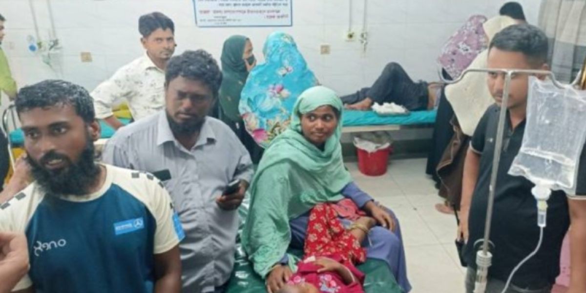 চাঁদপুরের হাইমচরে রাসেলস ভাইপারের দংশনে শিশু আহত: আতঙ্ক বাড়ছে জনপদে..