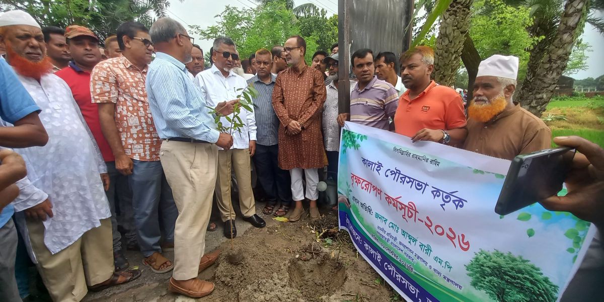 কালাই পৌরসভার বৃক্ষরোপণ কর্মসূচি