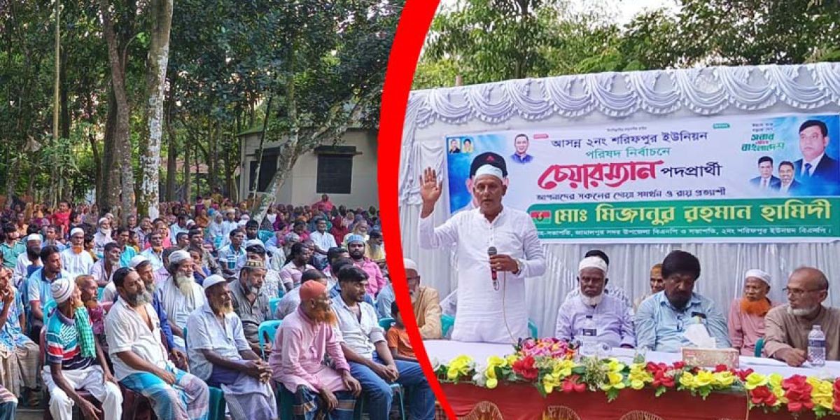 শরীফপুরে চেয়ারম্যান প্রার্থী হিসেবে মিজানুর রহমান হামিদীর আত্মপ্রকাশ..