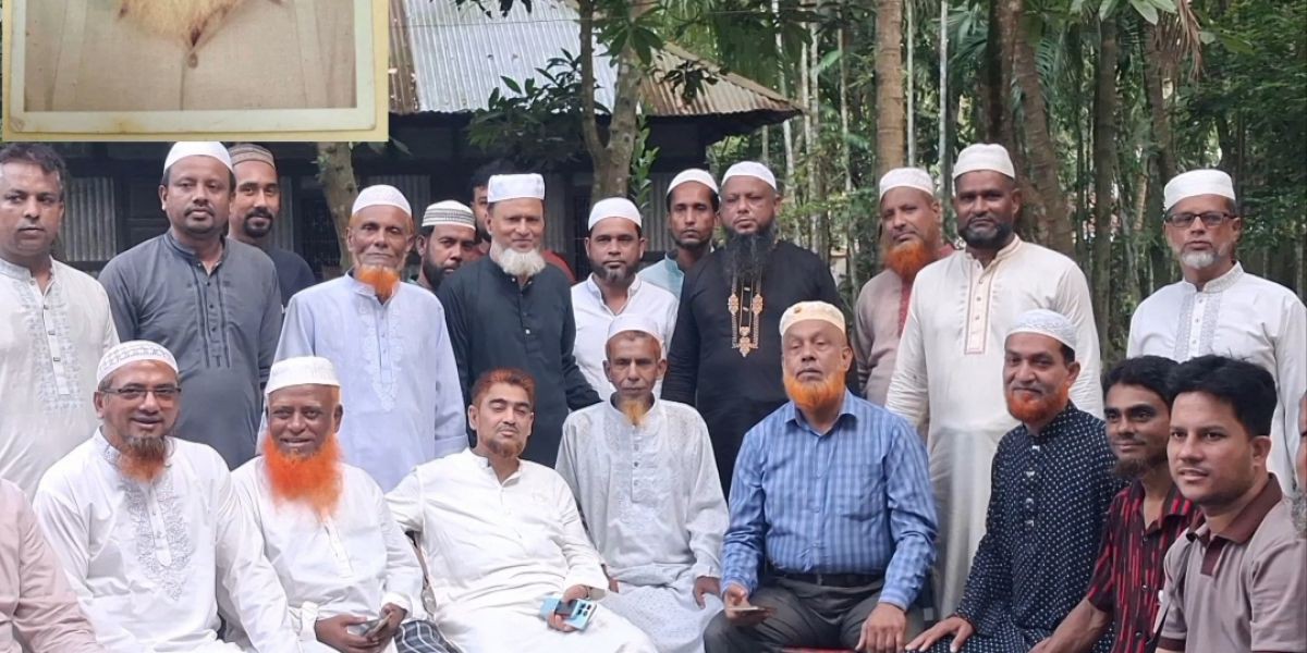 কচুয়ায় সাবেক সংসদ সদস্য অধ্যক্ষ আবুল হাসানাতের ১৩তম মৃত্যুবার্ষিকী পালন ও দোয়া ..