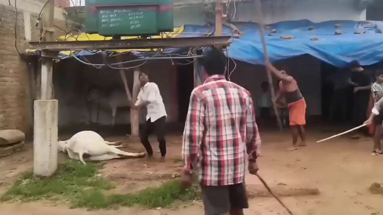 এক্স-এ এন ভেরিটাস গোস্ট