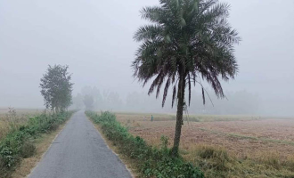 দিনের তাপমাত্রা কমছে, বাড়ছে শীতের আমেজ!